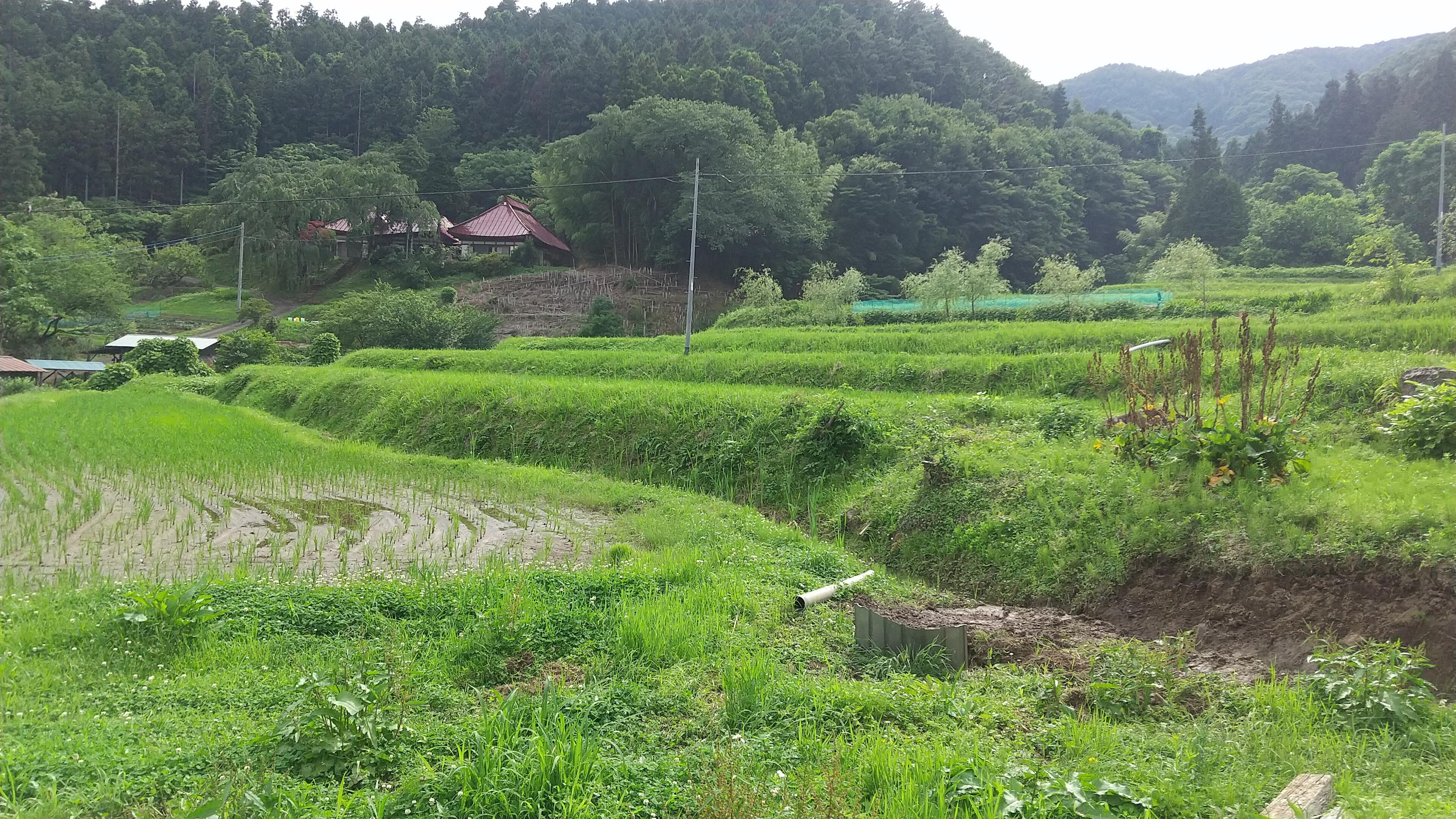 棚田と水と土地利用